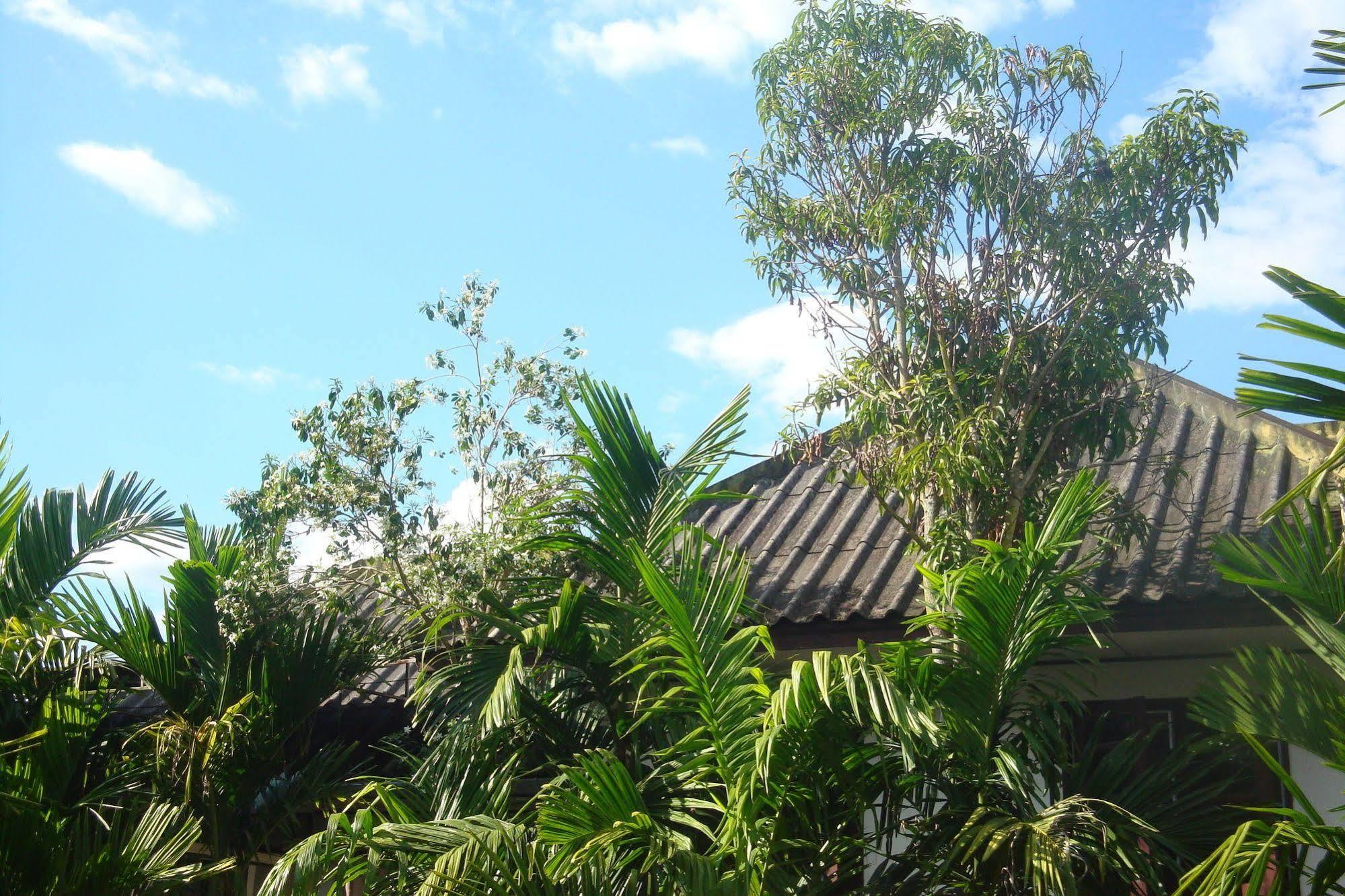 Ming Guesthouse Pai Exterior photo