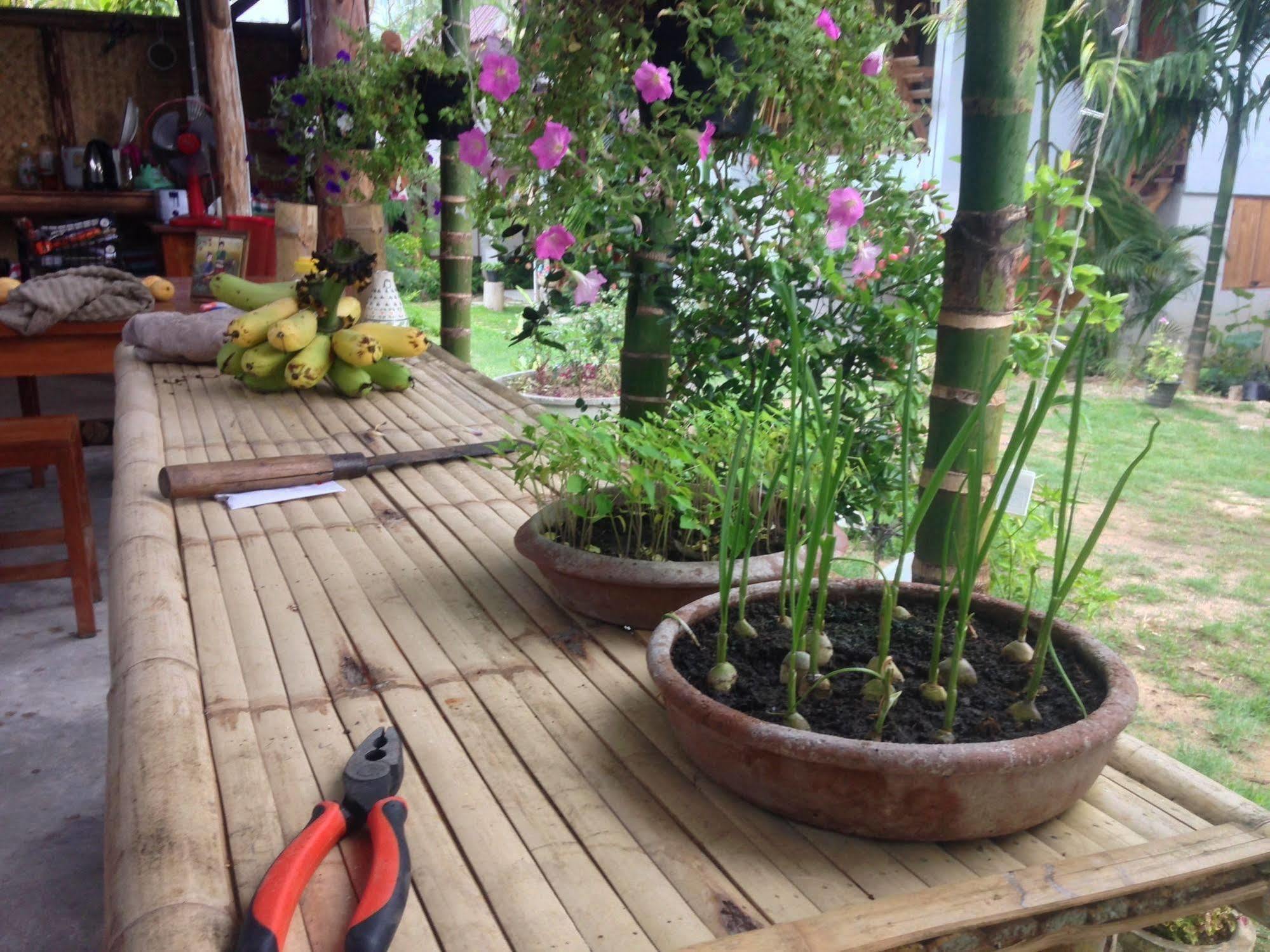 Ming Guesthouse Pai Exterior photo